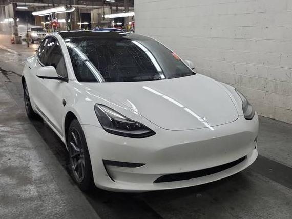 TESLA MODEL 3 2021 5YJ3E1EA1MF029391 image